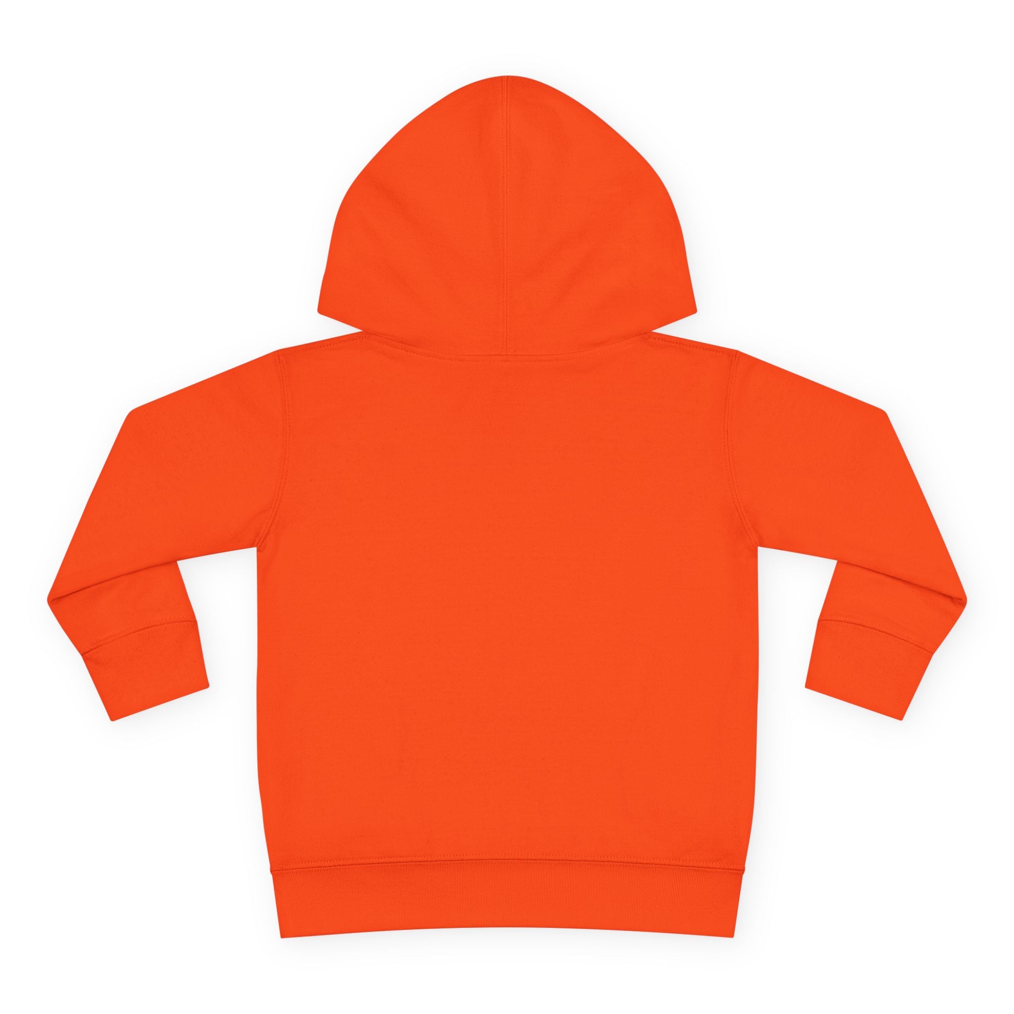 Grampa T’s Toddler Dragon Hoodie – “Dragon Whisperer in Training” Fleece | Cozy Fun Gift for Toddlers, Young Dreamers & Birthday Boys/Girls!