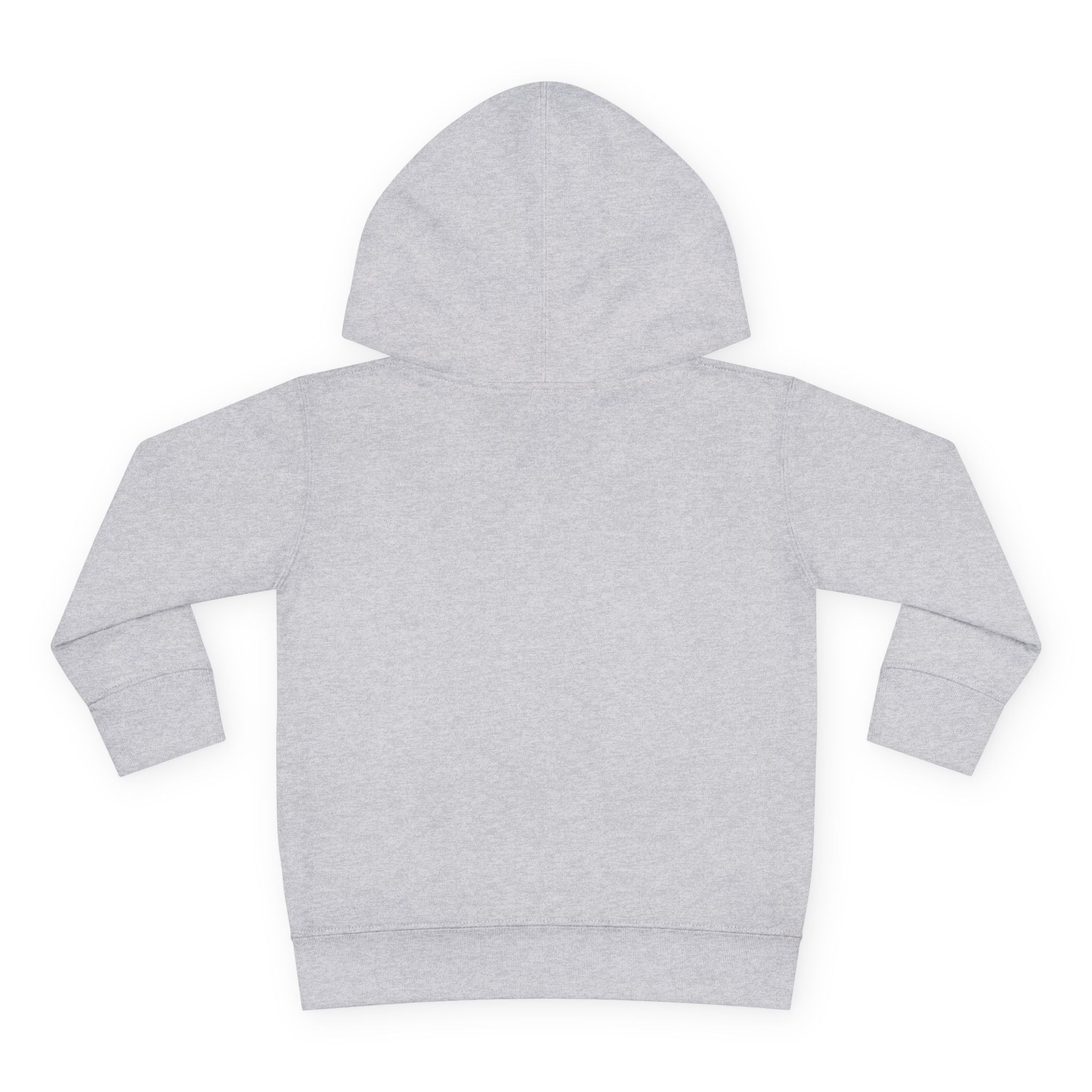 Grampa T’s Toddler Dragon Hoodie – “Dragon Whisperer in Training” Fleece | Cozy Fun Gift for Toddlers, Young Dreamers & Birthday Boys/Girls!