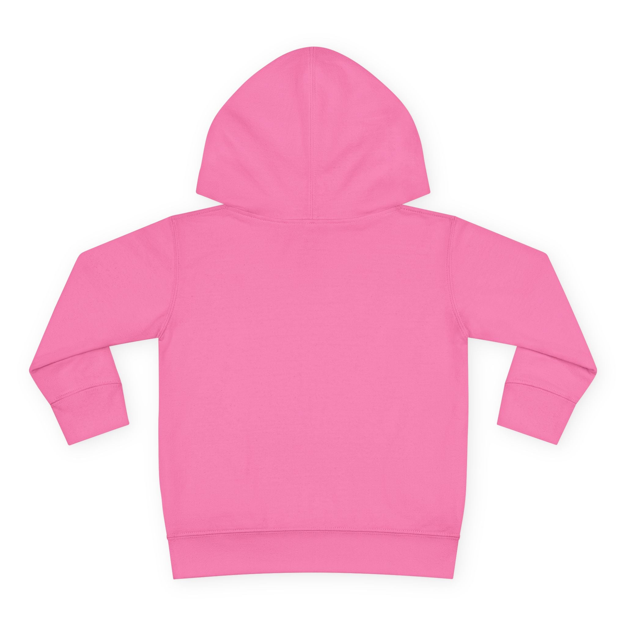 Grampa T’s Toddler Dragon Hoodie – “Dragon Whisperer in Training” Fleece | Cozy Fun Gift for Toddlers, Young Dreamers & Birthday Boys/Girls!
