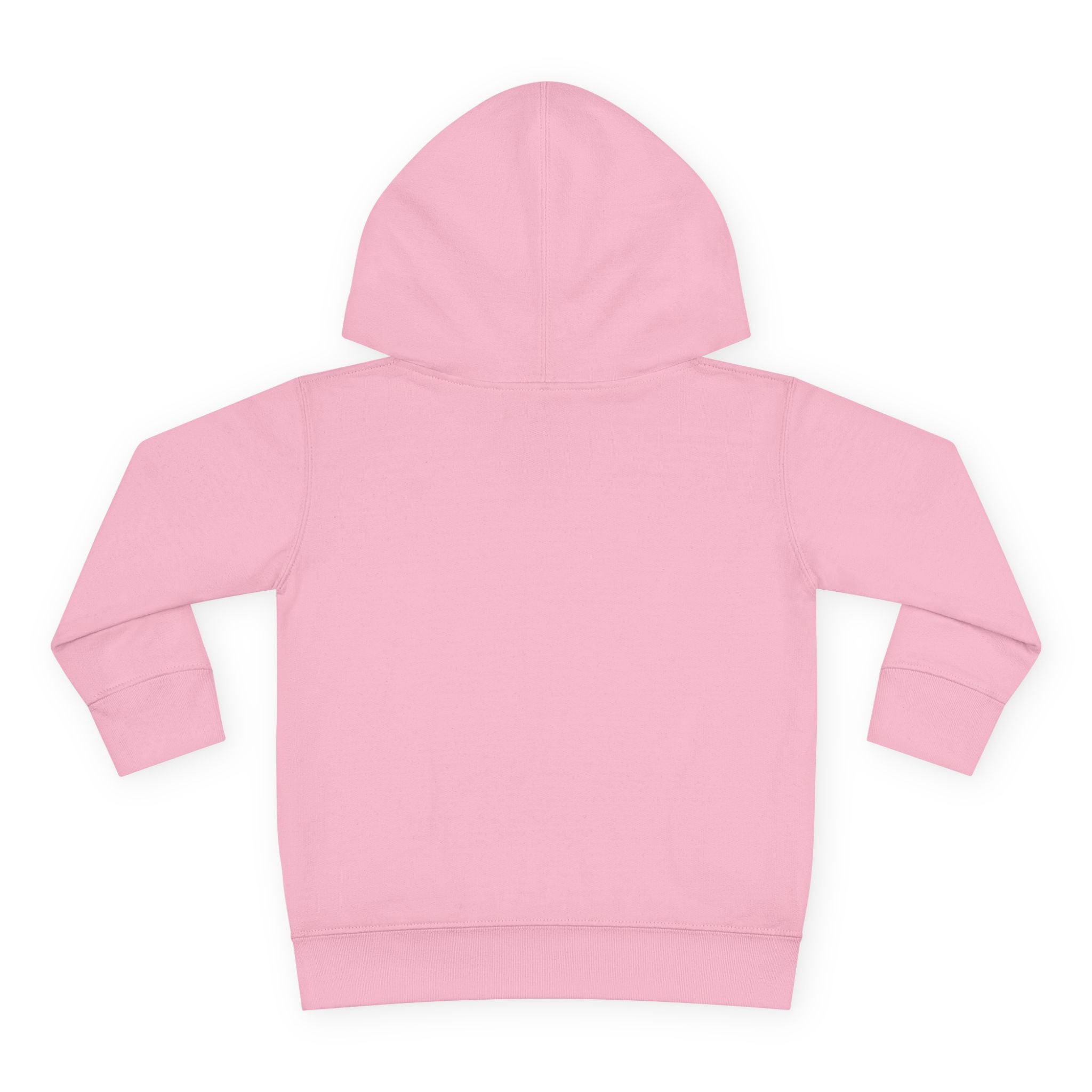 Grampa T’s Toddler Dragon Hoodie – “Dragon Whisperer in Training” Fleece | Cozy Fun Gift for Toddlers, Young Dreamers & Birthday Boys/Girls!